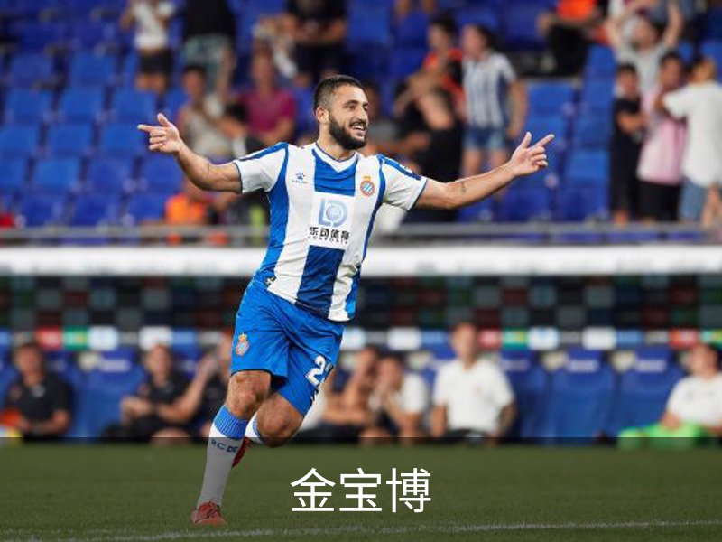 金宝博(中国)官方网站 - jingbaobo SPORTS