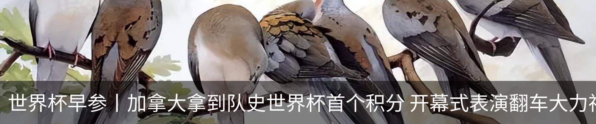 新闻动态
